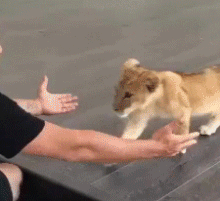 헤헤.. 내가 제일 조아하는 사육사 형아당..♥ | 인스티즈