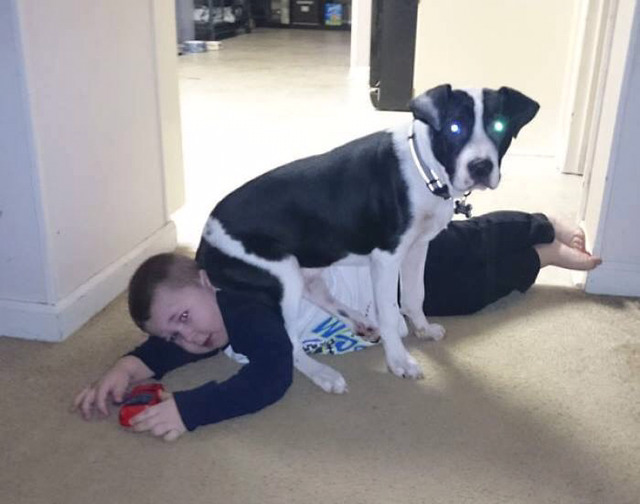 세상 쿨하게 사는 동물들 | 인스티즈