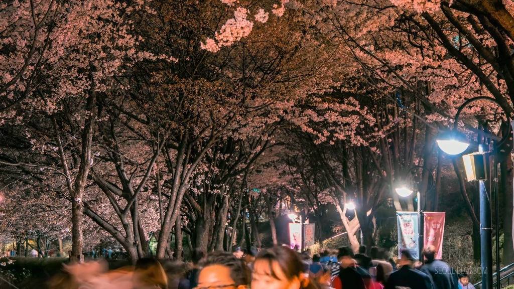 잔잔한 서울의 밤.jpg | 인스티즈