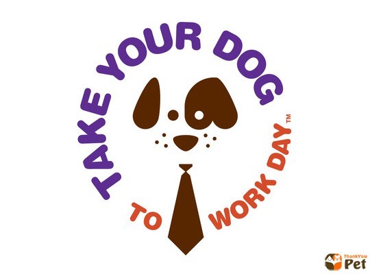 미국의 직장에 개 데려가는 날 | 인스티즈