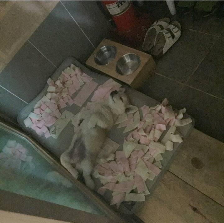 사람처럼 자는 인절미(짱절미) | 인스티즈