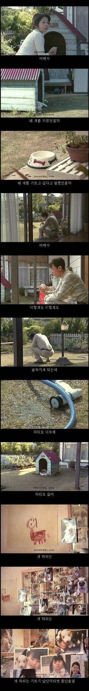 개의 일생 | 인스티즈