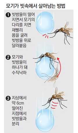 모기들이 내가 샤워 중에 샤워기를 뿌려도 안떠내려가죽는 이유.jpg | 인스티즈