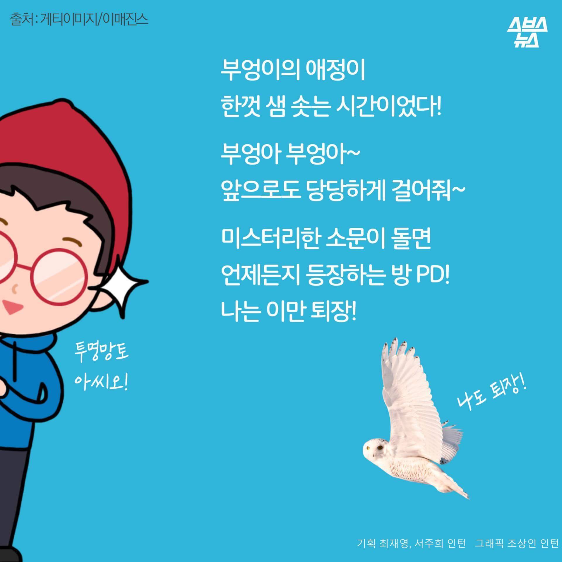 숏하지 않다고 말해부엉 | 인스티즈