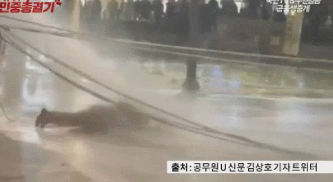 15.11.14 광화문 집회에 대한 궁금증과 대답 | 인스티즈