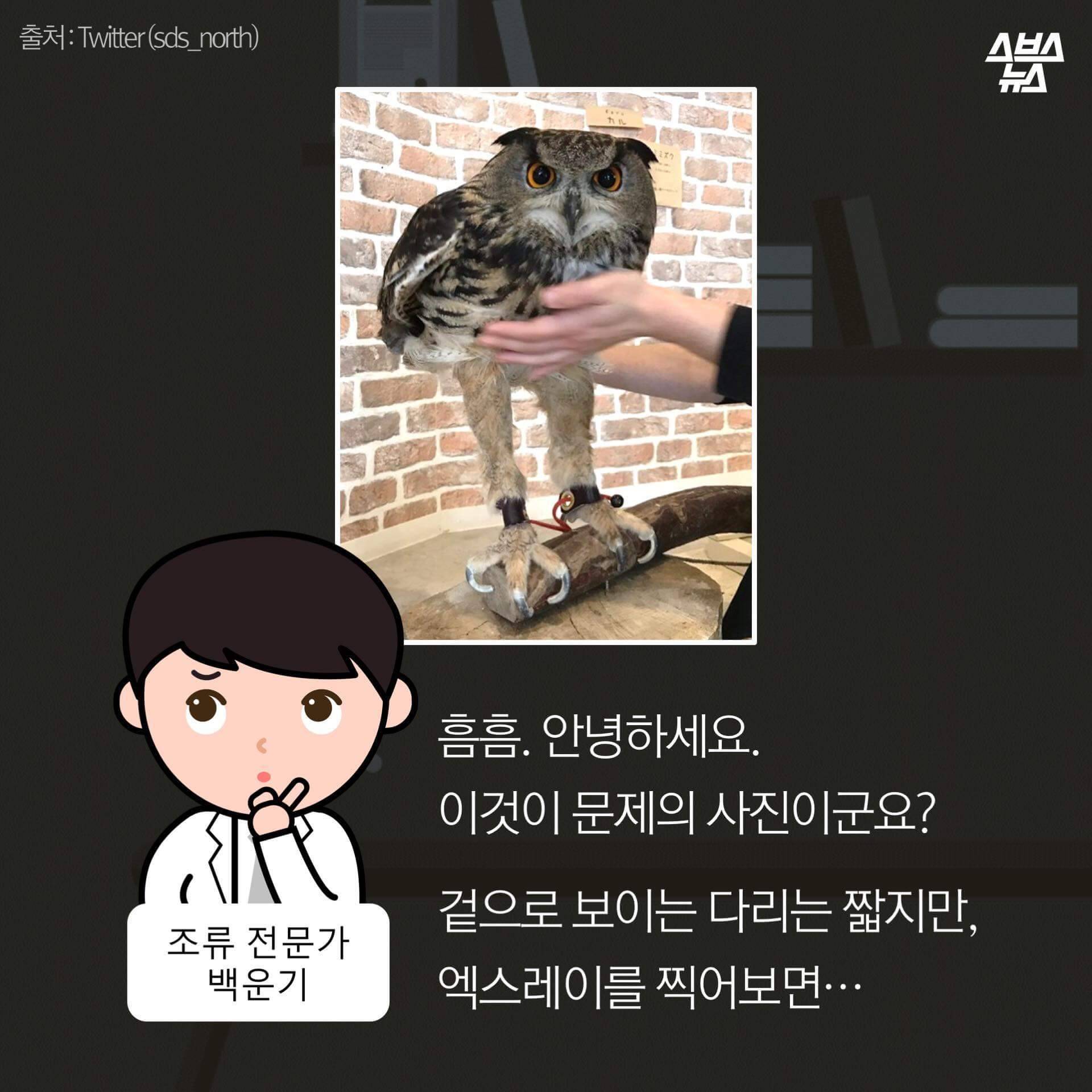 숏하지 않다고 말해부엉 | 인스티즈