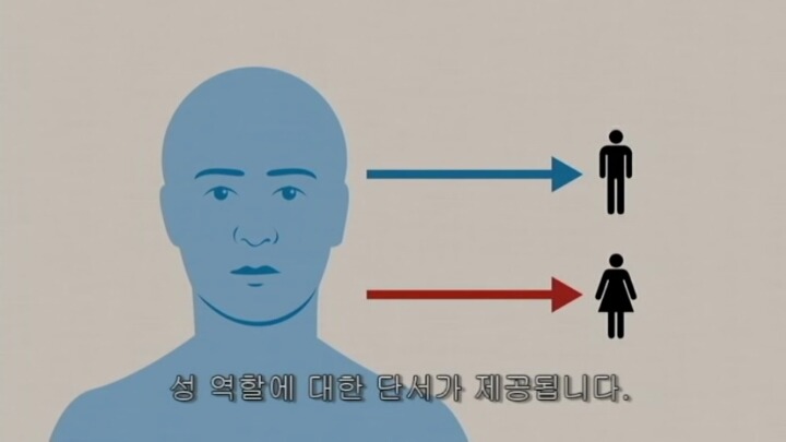우리는 젠더를 갖고 태어나는가? | 인스티즈