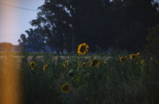  사랑이라 적고 싶네﻿ | 인스티즈