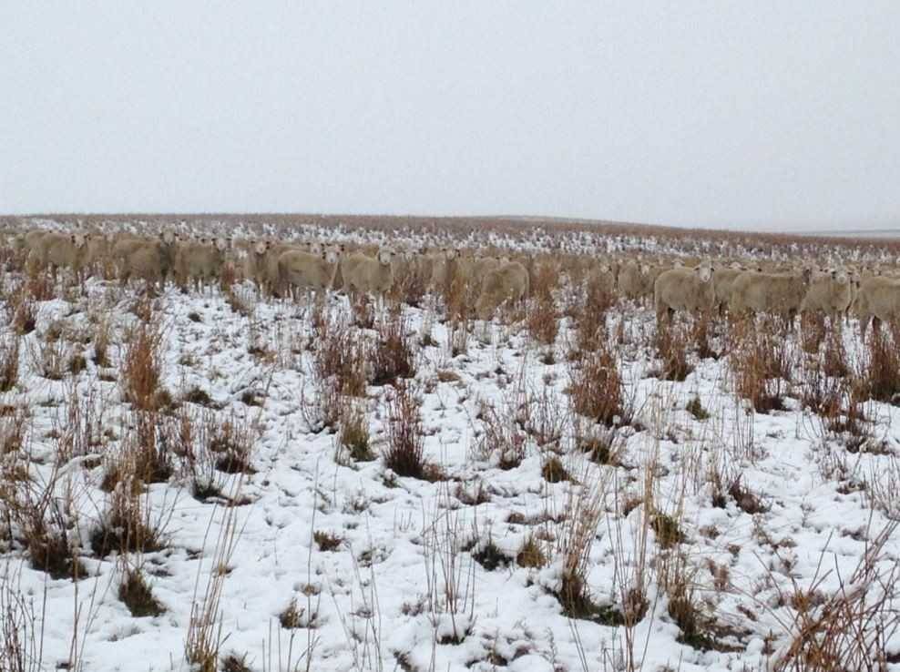 은신의 대가들 | 인스티즈