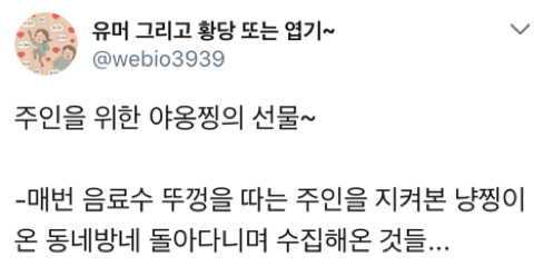 집사야 너 이거 좋아하지? | 인스티즈