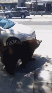 무단횡단.gif | 인스티즈