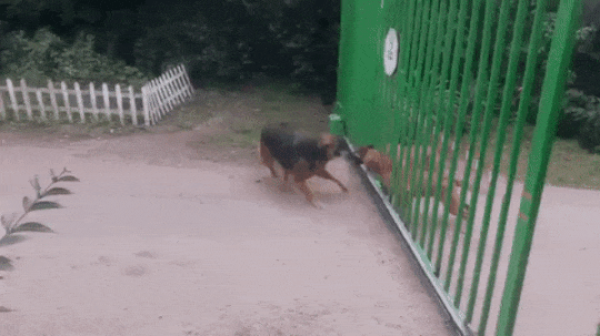 온라인 -＞ 오프라인 | 인스티즈