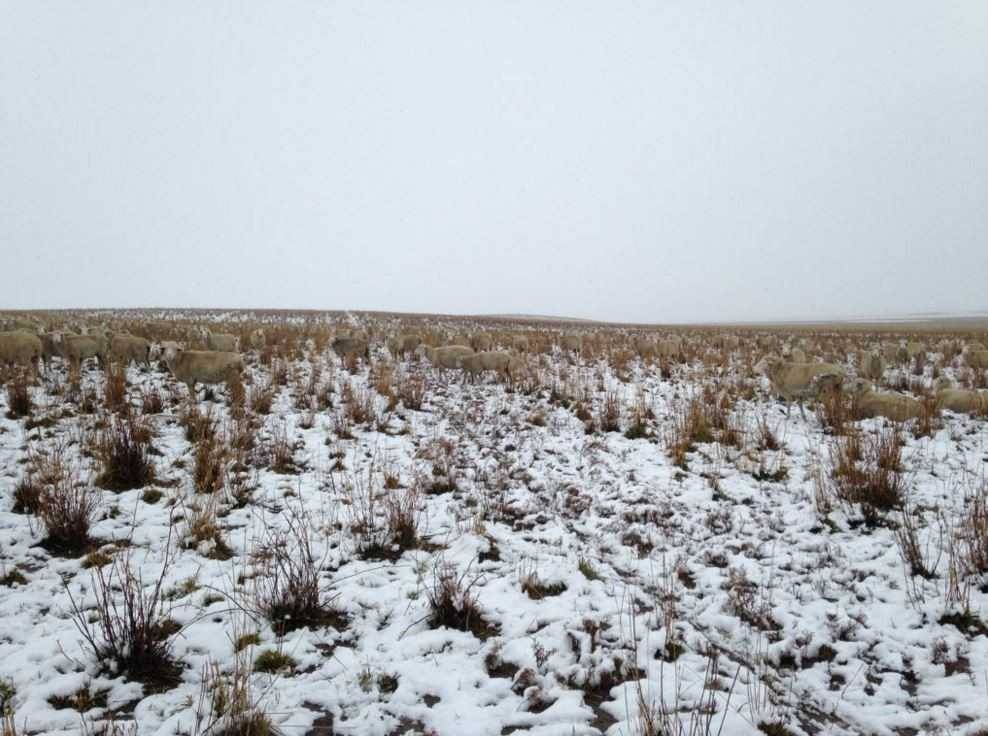 은신의 대가들 | 인스티즈