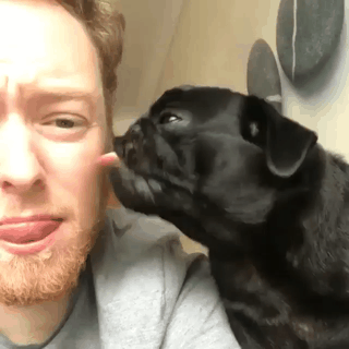 주인의 역습.gif | 인스티즈