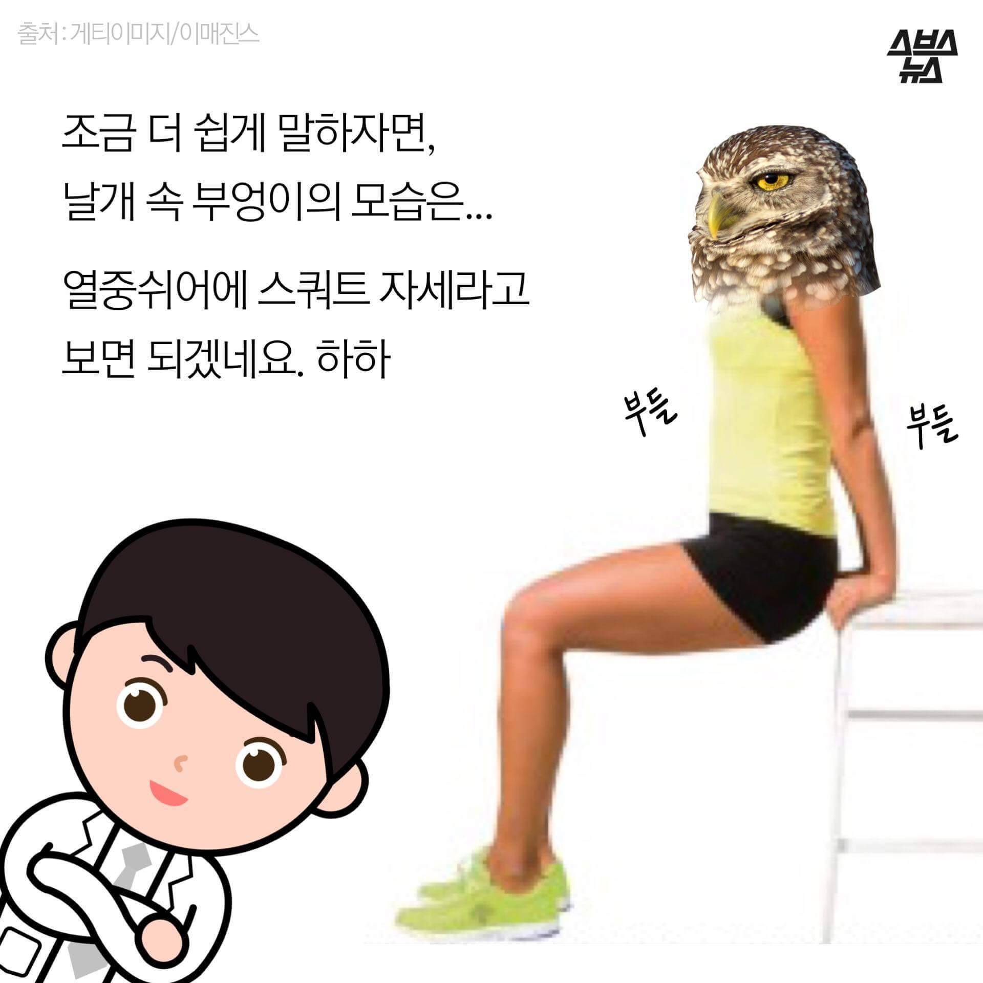 숏하지 않다고 말해부엉 | 인스티즈