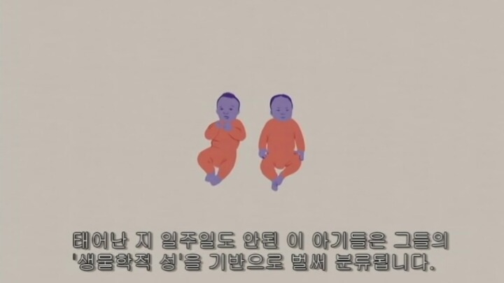 우리는 젠더를 갖고 태어나는가? | 인스티즈