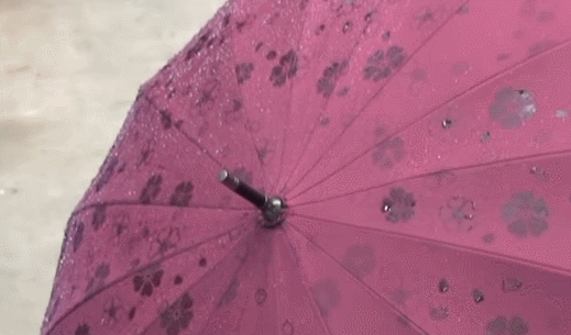 일본의 신박한 우산 | 인스티즈