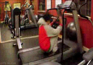 하나의 능력을 선택한다면?? | 인스티즈