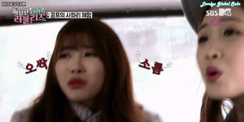 본격 쫄보형 여자 아이돌.gif | 인스티즈