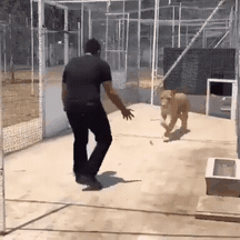 맹수와 친구하는 사람 | 인스티즈