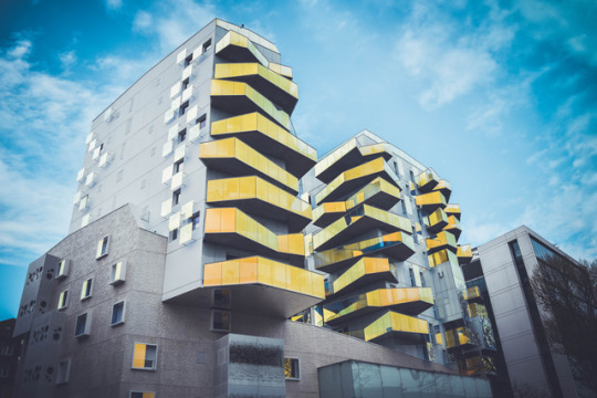  네 사소한 이름을 부르고 싶다 | 인스티즈