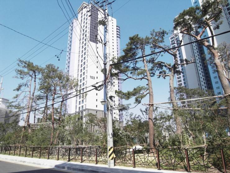 강남의 흔한 9억대 아파트 | 인스티즈