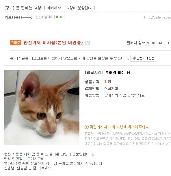 고양이 팝니다 | 인스티즈