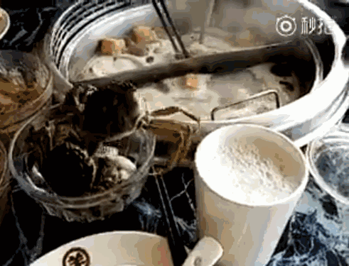 물속으로 도망쳐주마 멍청한 인간녀석들 하하하! | 인스티즈