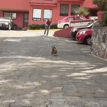 점프력 보소.gif | 인스티즈