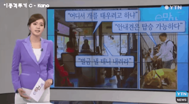 장애인의 버스 탑승 [미국Vs한국] | 인스티즈