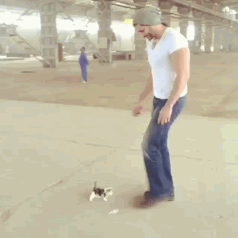 냥이 집사 되는 순간 | 인스티즈