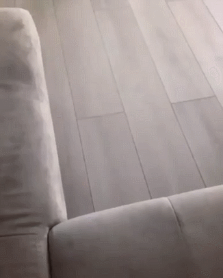 웰시코기의 점프력 | 인스티즈