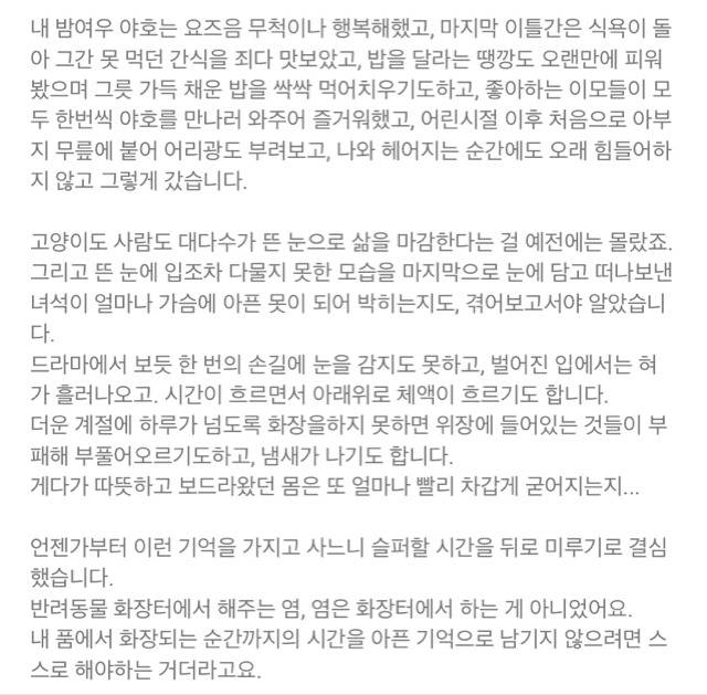 내 고양이의 장례식(슬픔주의) | 인스티즈