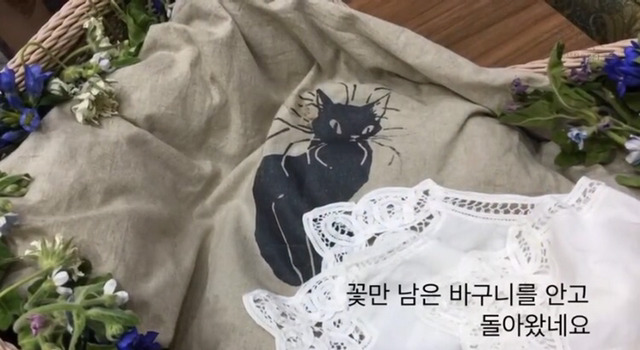 내 고양이의 장례식(슬픔주의) | 인스티즈