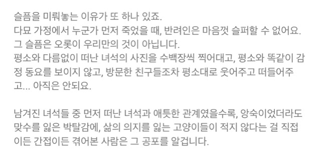 내 고양이의 장례식(슬픔주의) | 인스티즈