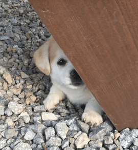 짱절미로 보는 직장인의 하루.jpgif | 인스티즈