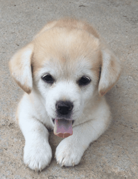 짱절미로 보는 직장인의 하루.jpgif | 인스티즈