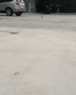 짱절미로 보는 직장인의 하루.jpgif | 인스티즈