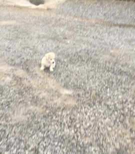 짱절미로 보는 직장인의 하루.jpgif | 인스티즈