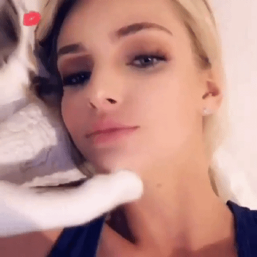 사람이 고양이로 다시 태어남 | 인스티즈