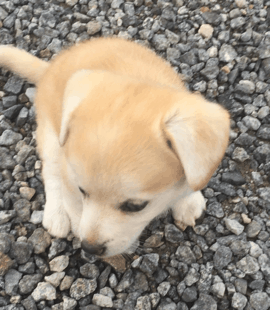 짱절미로 보는 직장인의 하루.jpgif | 인스티즈