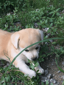 짱절미로 보는 직장인의 하루.jpgif | 인스티즈