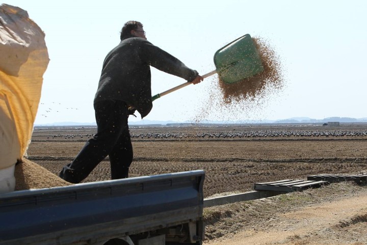 철새먹이나누기! 2016년에도 합니다 | 인스티즈