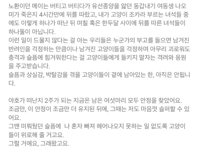 내 고양이의 장례식(슬픔주의) | 인스티즈