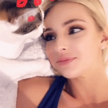 사람이 고양이로 다시 태어남 | 인스티즈