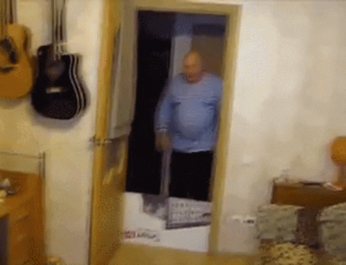 강아지를 키우는 이유 | 인스티즈