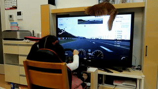 5살꼬마 운전실력 | 인스티즈