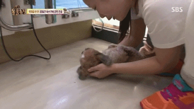 강아지가 잃어버린 주인을 다시 만났을 때.gif | 인스티즈