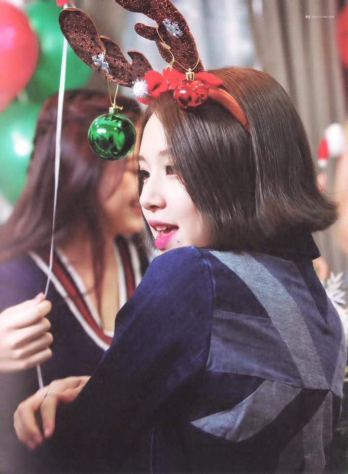 트와이스 두부 꾹꾹이 아기맹수 | 인스티즈