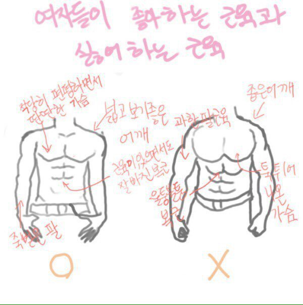 여자들이 좋아하는 근육과 싫어하는 근육.jpg | 인스티즈
